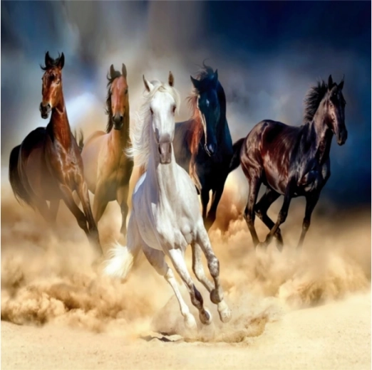 Mosaïque diamant (diamond painting) troupeau de chevaux au galop 30 × 30 cm