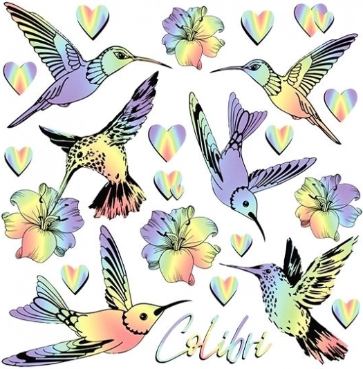 Images thermocollantes colibris arc-en-ciel – petite planche 15 × 21 cm