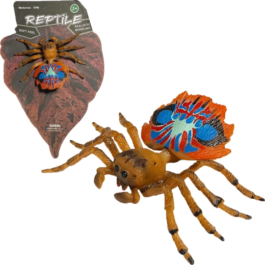 Nature vivante : modèle réaliste d’araignée-paon (peacock spider) 10 cm