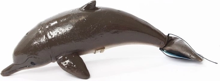 Dauphin 21 cm