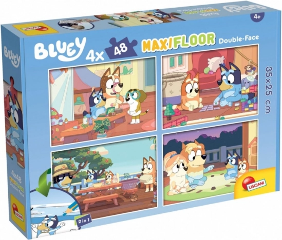Puzzle 4 x 48 pièces Bluey maxi sol
