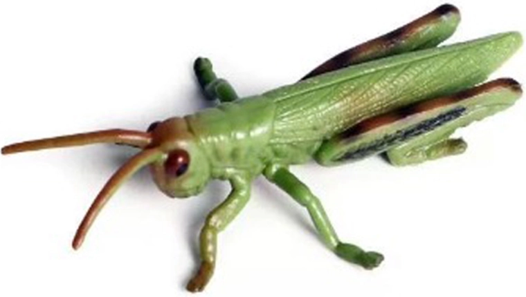 Insecte – sauterelle 9 cm