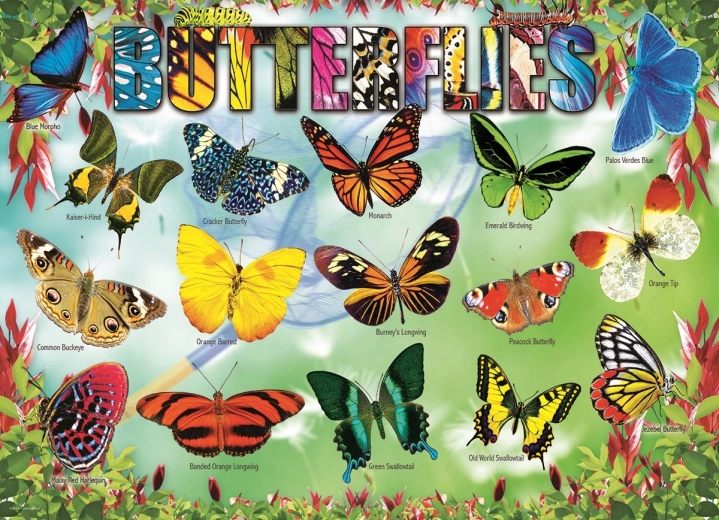 EUROGRAPHICS Puzzle Papillons de jardin 100 pièces