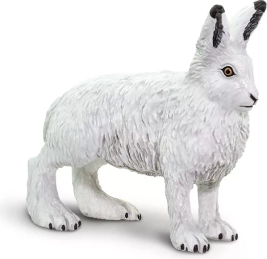 Lièvre arctique Safari Ltd. - 1 pièce