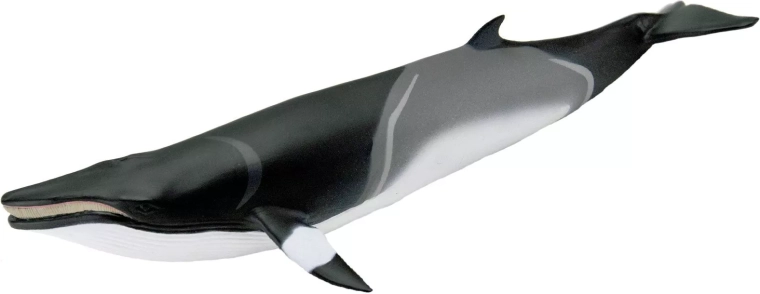Safari Ltd. figurine de petit rorqual (minke) - 1 pièce