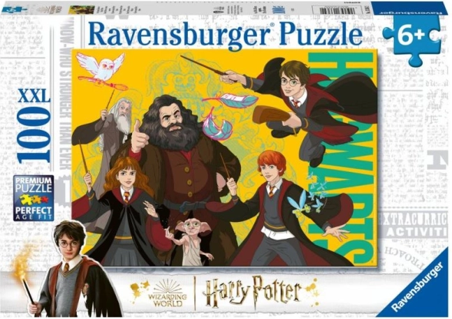 Harry Potter : jeune sorcier puzzle 100 pièces