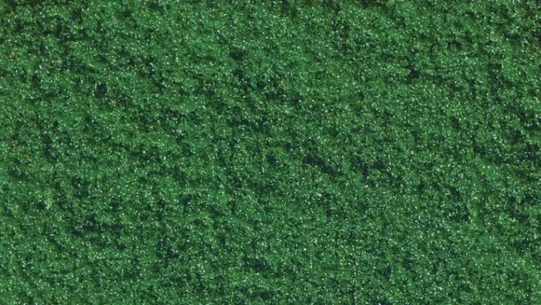 Noch PROFI Flock flocons de mousse vert moyen