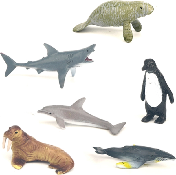 Lot d’animaux marins en boîte – 6 pcs