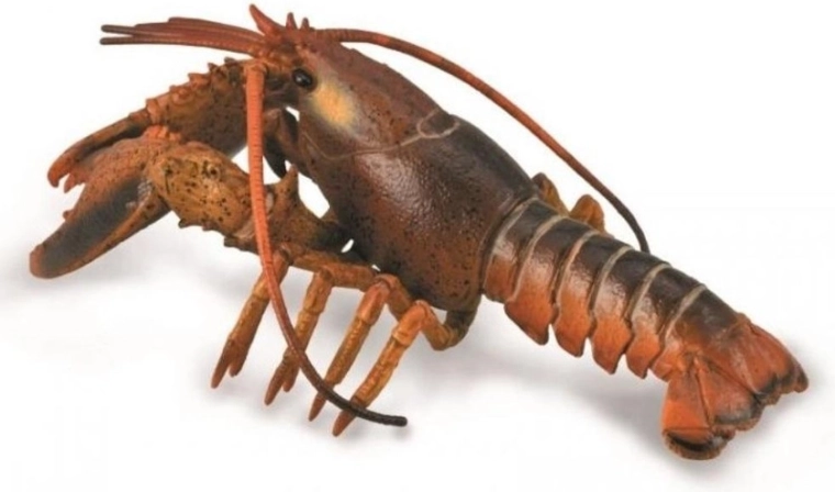 Collecta homard – figurine éducative réaliste