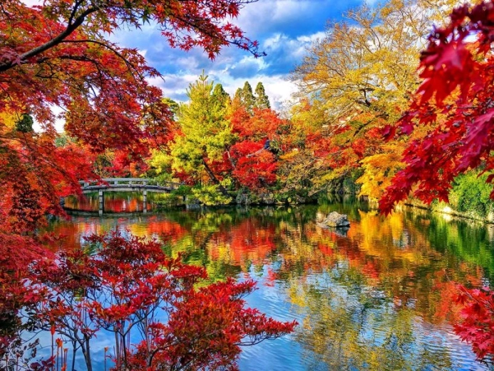 Peinture diamant « Parc en automne » 40 × 30 cm