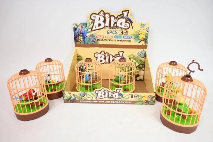 Oiseau en cage avec son