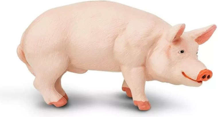 Figurine de porcelet (porc domestique) Safari Ltd.