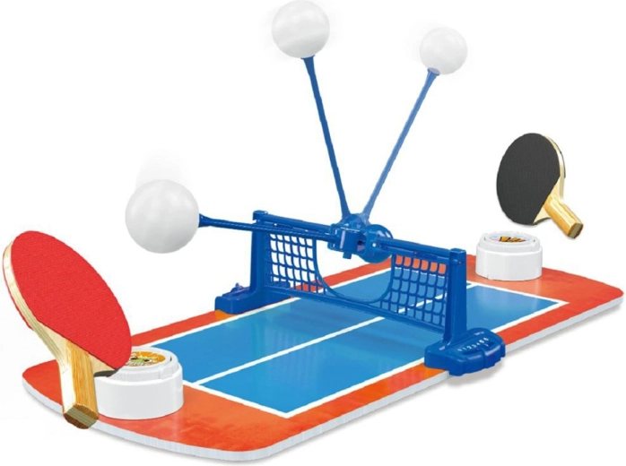 Jeu de table : tennis de table 26 × 58 cm