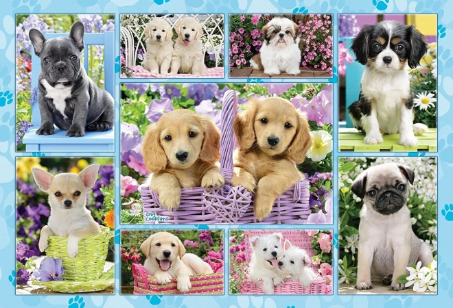 Puzzle chiots 200 pièces SCHMIDT