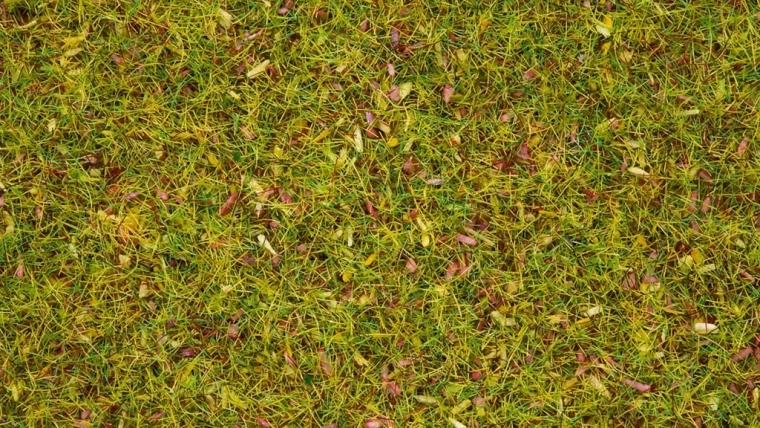 Herbe statique Noch prairie fleurie 2,5 mm