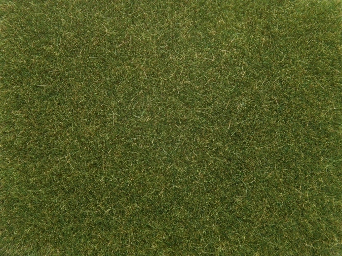 Noch herbe statique vert clair 4 mm