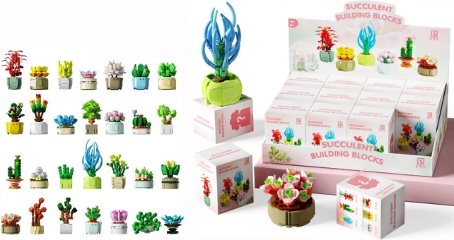 Kit de Construction Fleur Succulente