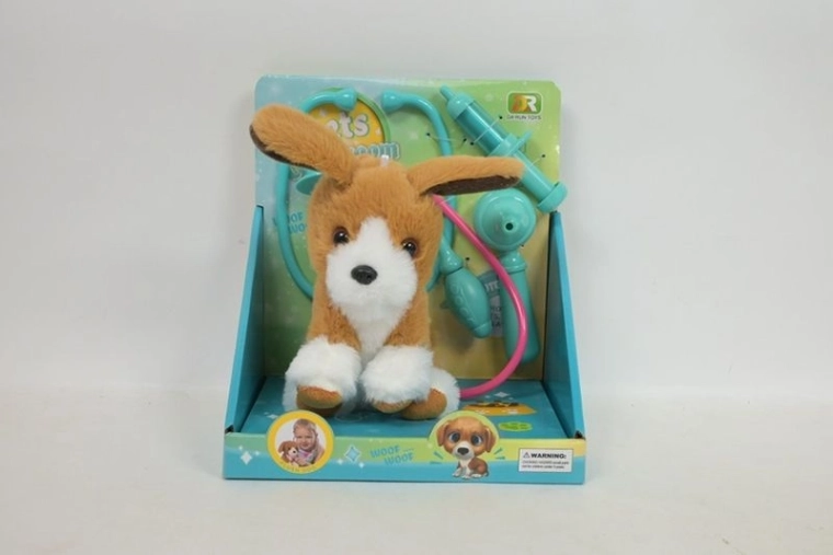 Chien en peluche « chory piesek » en set