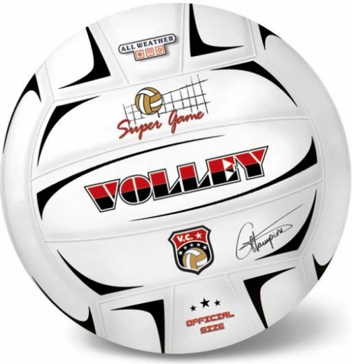 Ballon de volley Champions 21 cm