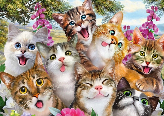 Puzzle Selfie de chats 500 pièces SCHMIDT