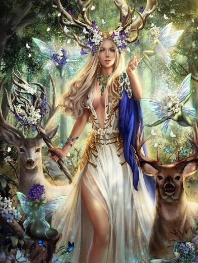 Norimpex peinture au diamant Femme des bois 30 × 40 cm