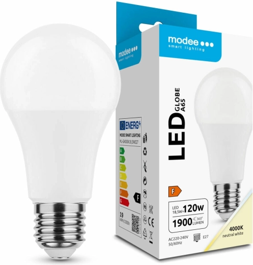 Ampoule LED Globe A65 18,5 W E27 4000 K 270°