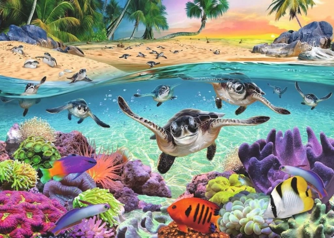 Puzzle Tortues juvéniles 500 pièces XXL