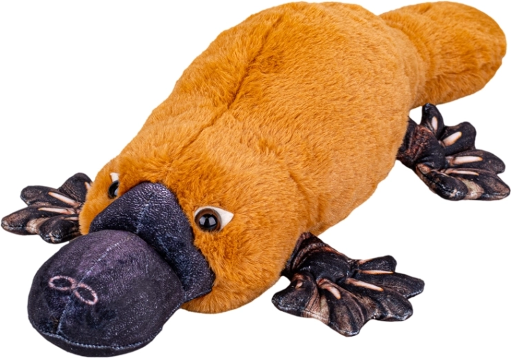 Ornithorynque en peluche 50 cm – compagnon allongé ultra-doux
