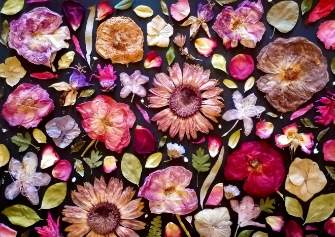 Enjoy puzzle rose 1000 pièces