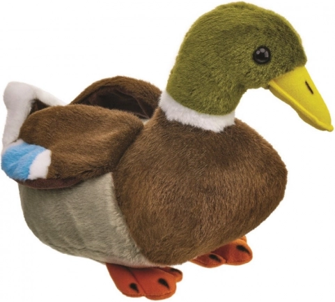 Mascotte canard colvert 18 cm