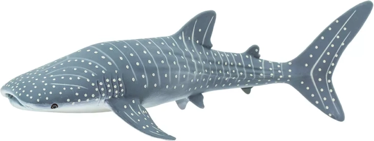 Safari Ltd. figurine de requin-baleine - 1 pièce
