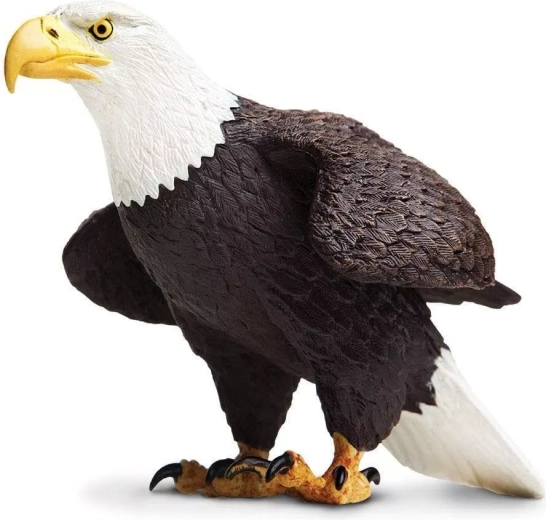 Safari Ltd. figurine aigle à tête blanche - 1 pièce
