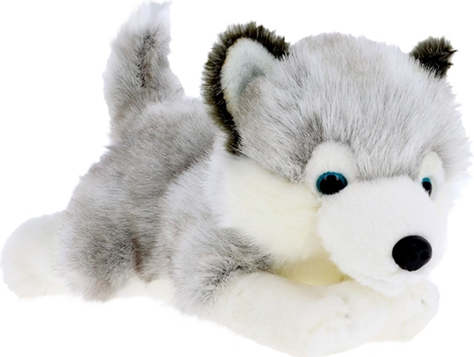 Chiot husky en peluche 30 cm KEEL TOYS Signature Forever