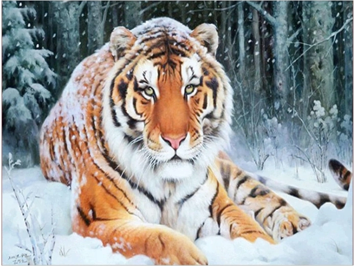 Peinture diamant Tigre couché dans la neige 30 × 40 cm