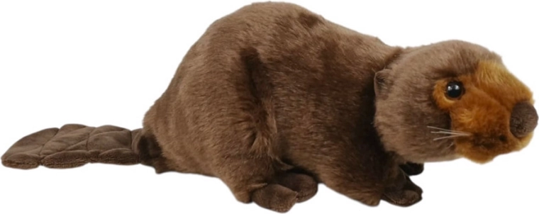 Castor en peluche 26 cm