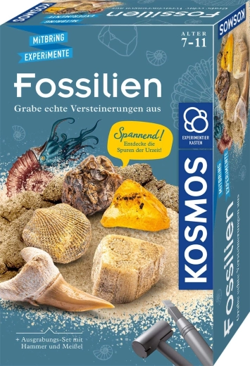 Kosmos Fossiles