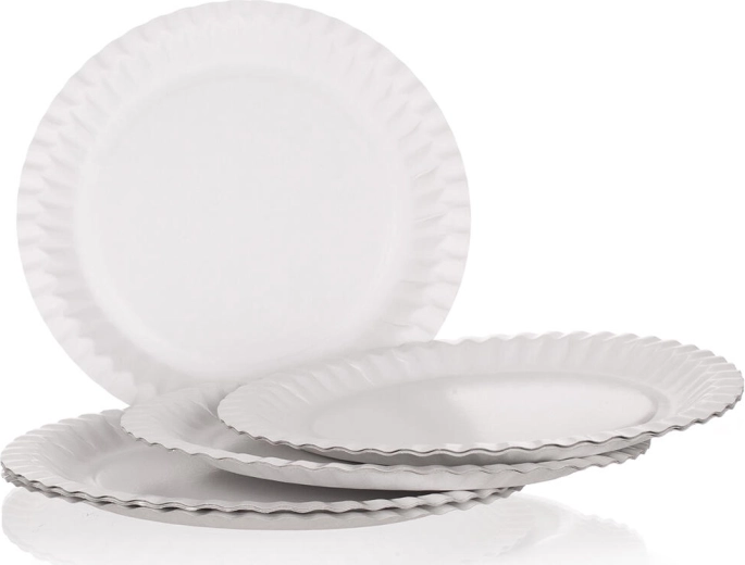 Assiettes en papier MY PARTY 23 cm (12 pcs)