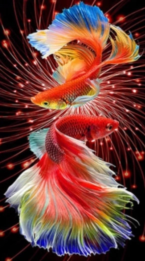 Peinture diamant Poissons rouges 30 × 40 cm