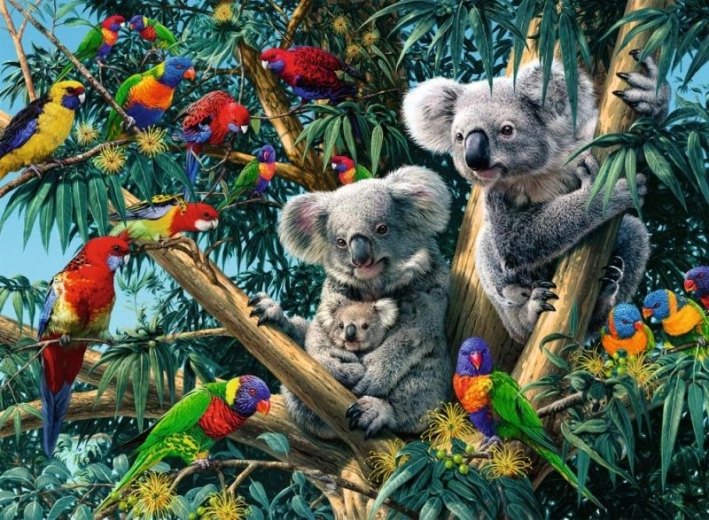 Puzzle Koalas dans l’Arbre 500 Pièces