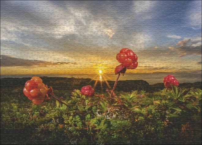 Puzzle Heye Mûres Chicouté 1000 pièces