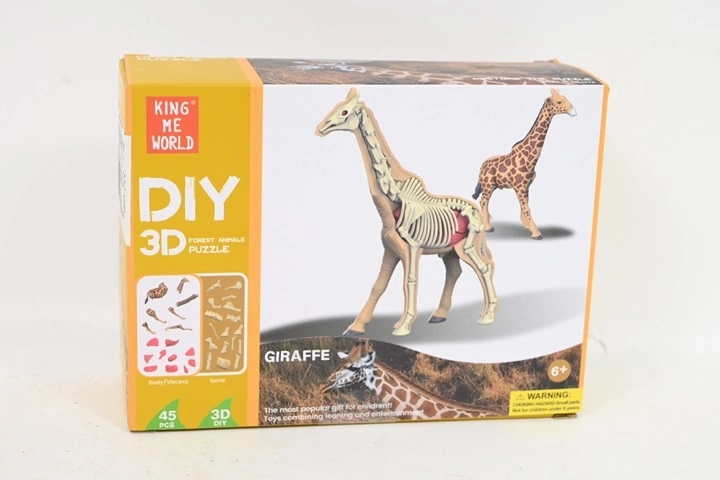 Modèle anatomique de girafe
