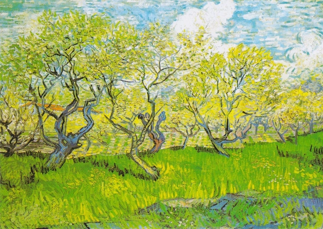 Puzzle Vincent van Gogh : Verger en Fleurs 1000 pièces