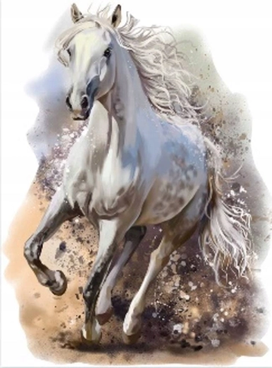 Norimpex peinture diamant cheval blanc au galop 30 × 40 cm