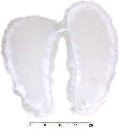 Ailes d’ange avec plumes 47 × 47 cm