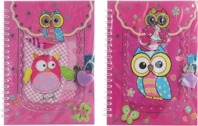 Carnet à cadenas chouettes