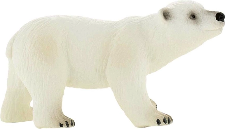 Ourson polaire