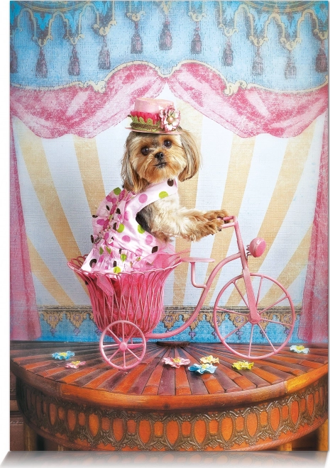 Puzzle Rêveur Voyageur 500 pièces