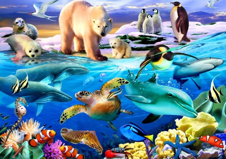 Puzzle Bluebird Océan de la vie 1000 pièces