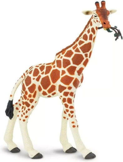 Safari Ltd. Girafe réticulée