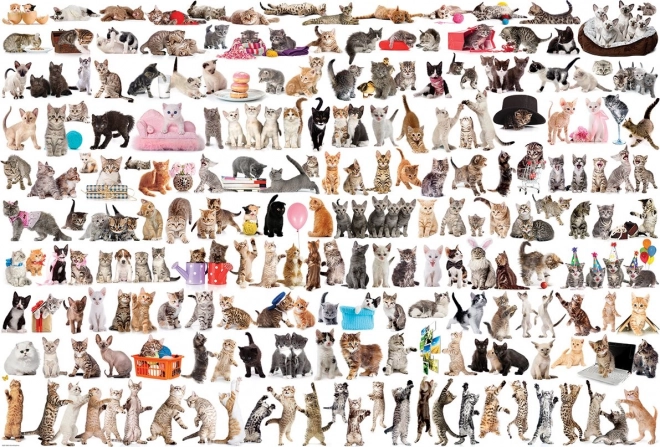 Puzzle EUROGRAPHICS Monde des chats – 2000 pièces